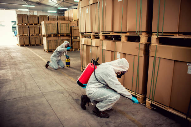 Best Best Pest Control Companies  in Newark, CA