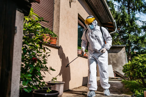 Insect Control in Newark, CA