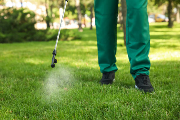 Best Affordable Pest Control Services  in Newark, CA