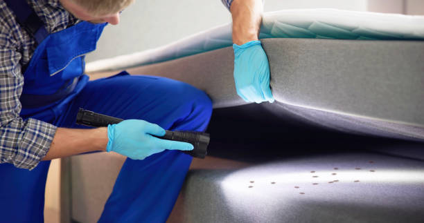Pest Prevention Services in Newark, CA