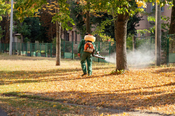 Best Insect Control  in Newark, CA