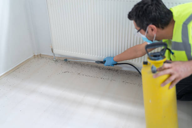 Best Pest Removal Services  in Newark, CA