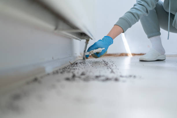 Trusted Newark, CA Pest Control Experts